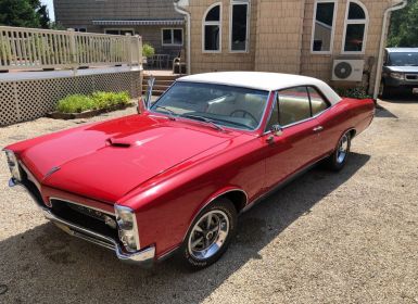 Achat Pontiac GTO Occasion