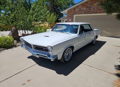 Achat Pontiac GTO Occasion