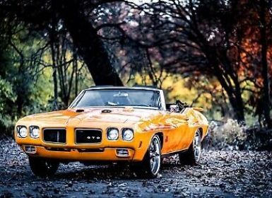 Vente Pontiac GTO Occasion