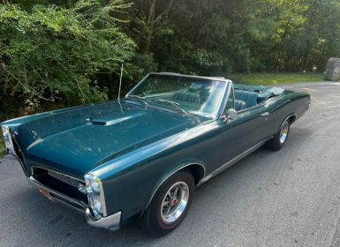 Achat Pontiac GTO Occasion