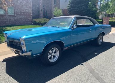 Vente Pontiac GTO Occasion