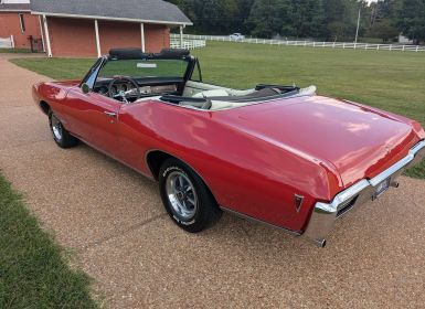 Achat Pontiac GTO convertible  Occasion