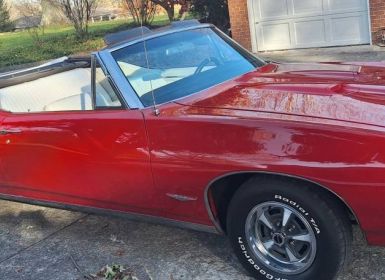 Vente Pontiac GTO convertible  Occasion