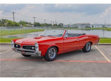 Achat Pontiac GTO CONVERTIBLE TRIBUTE  Occasion