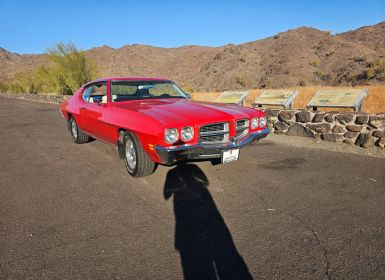 Achat Pontiac LeMans Occasion