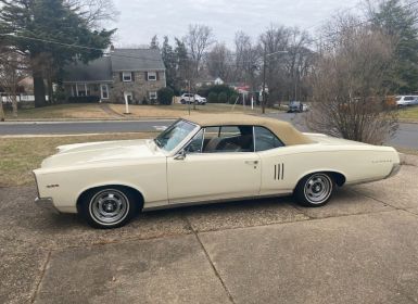 Pontiac LeMans Le Mans  Occasion