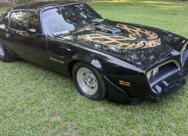 Achat Pontiac Trans Am Occasion