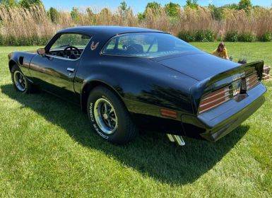 Achat Pontiac Trans Am Occasion