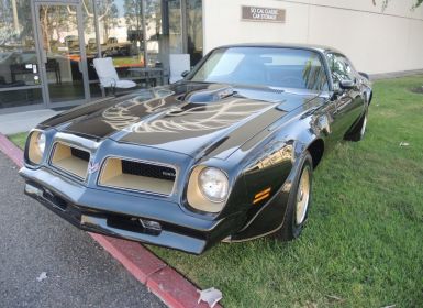 Achat Pontiac Trans Am Occasion