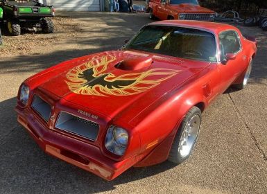 Pontiac Trans Am Occasion