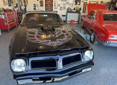 Achat Pontiac Trans Am Occasion