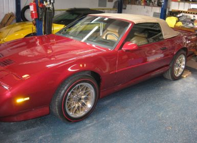 Pontiac Trans Am Occasion