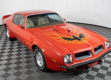 Achat Pontiac Trans Am Occasion