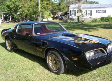 Vente Pontiac Trans Am Occasion