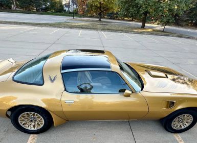 Pontiac Trans Am Occasion