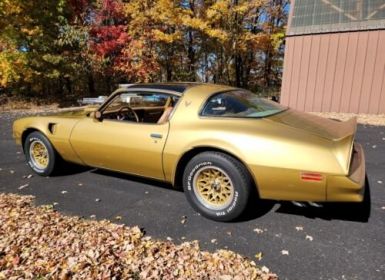 Achat Pontiac Trans Am Occasion