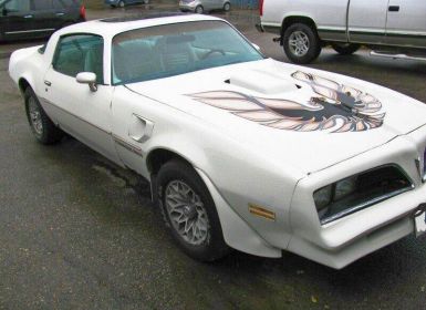 Achat Pontiac Trans Am Occasion