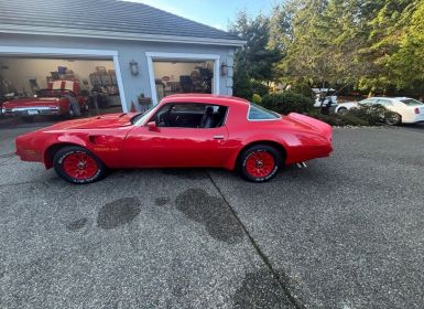 Achat Pontiac Trans Am Occasion