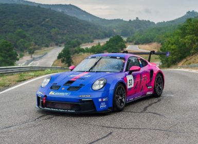 Porsche 992 GT3 Cup *Art Racing Car*