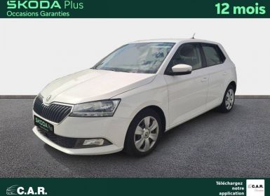 Vente Skoda Fabia 1.0 MPI 60 ch BVM5 Business Occasion