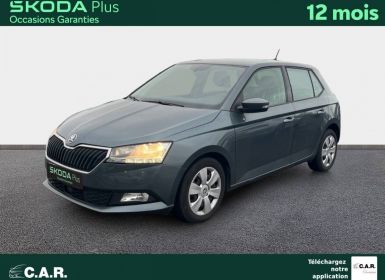 Achat Skoda Fabia 1.0 MPI 60 ch BVM5 Business Occasion