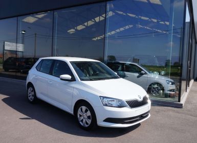 Achat Skoda Fabia 1.0i Ambition-AIRCO-FRONT ASS-PDC-USB-EURO 6 Occasion