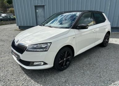 Achat Skoda Fabia tsi 110 clever Occasion