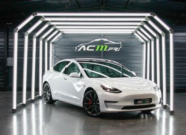 Tesla Model 3 PERFORMANCE PUP AWD UPGRADE