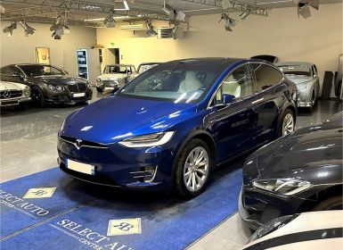 Tesla Model X  100D Dual Motor