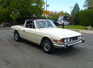 Triumph Stag Occasion