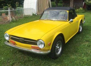 Achat Triumph TR6 Occasion