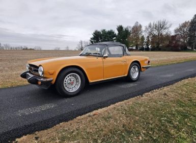 Achat Triumph TR6 convertible  Occasion