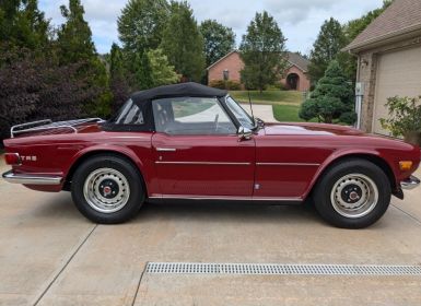 Triumph TR6 TR-6  Occasion