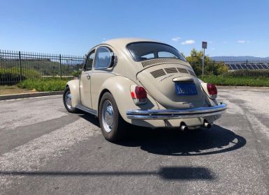 Volkswagen Beetle - Classic 