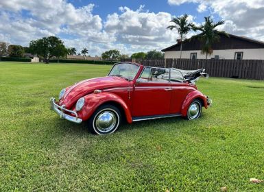 Volkswagen Beetle - Classic  Neuf