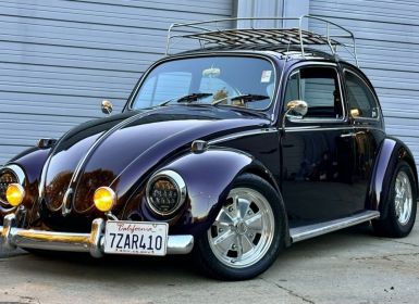 Volkswagen Beetle - Classic 