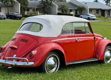 Vente Volkswagen Beetle - Classic  Neuf