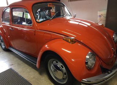 Vente Volkswagen Beetle - Classic  Occasion