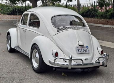 Achat Volkswagen Beetle - Classic  Occasion