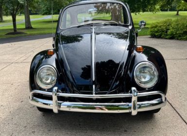 Achat Volkswagen Beetle - Classic  Occasion