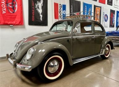 Vente Volkswagen Beetle - Classic  Occasion