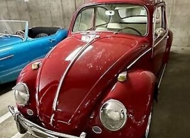 Achat Volkswagen Beetle - Classic  Occasion