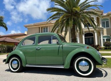 Volkswagen Beetle - Classic  Occasion