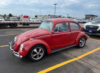 Volkswagen Beetle - Classic 