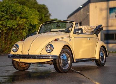 Volkswagen Beetle - Classic 