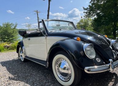 Vente Volkswagen Beetle - Classic  Occasion