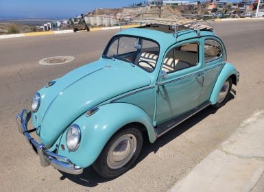 Achat Volkswagen Beetle - Classic  Occasion