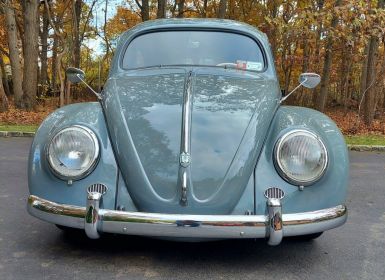 Achat Volkswagen Beetle - Classic  Neuf