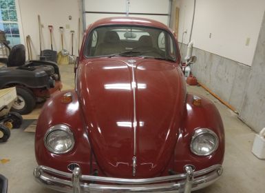 Achat Volkswagen Beetle - Classic  Occasion