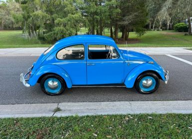 Achat Volkswagen Beetle - Classic  Occasion